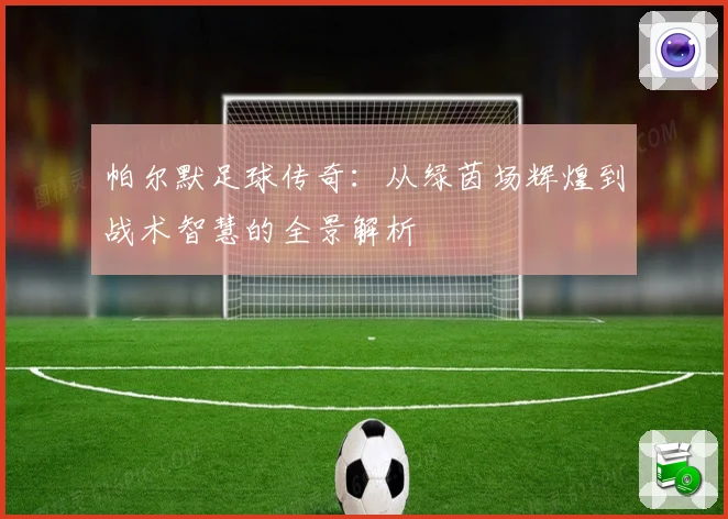 帕尔默足球传奇：从绿茵场辉煌到战术智慧的全景解析