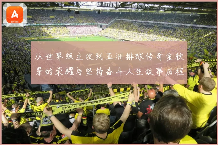从世界级主攻到亚洲排球传奇金软景的荣耀与坚持奋斗人生故事历程